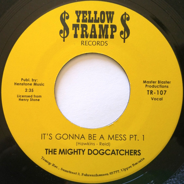 Mighty Dogcatchers - It's Gonna Be A Mess - Vinyl Record 7" image 1