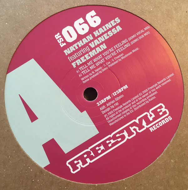 Nathan Haines - Tell Me What You're Feeling - Vinyl Record 12" image 1