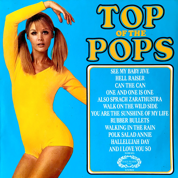 Unknown Artist - Top Of The Pops Vol. 31 - Used Vinyl Record image 1