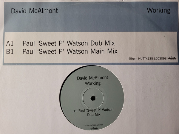 David McAlmont - Working - Vinyl Record 12" image 1