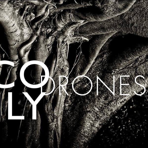 Nico Muhly - Drones - Used CD image 1