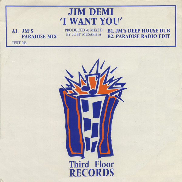 Jim Demi - I Want You - Used Vinyl Record 12" image 1