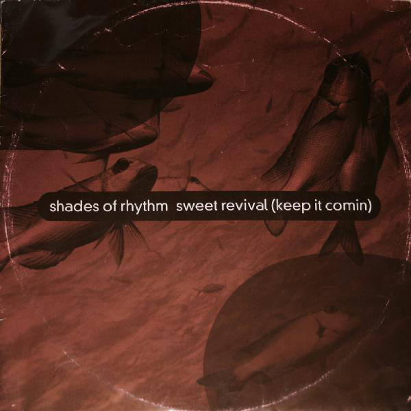 Shades Of Rhythm - Sweet Revival (Keep It Comin) - Used Vinyl Record 12" image 1
