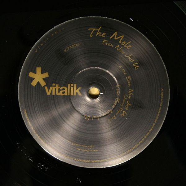 Mole - Even Now Just Us - Vinyl Record 12" image 1