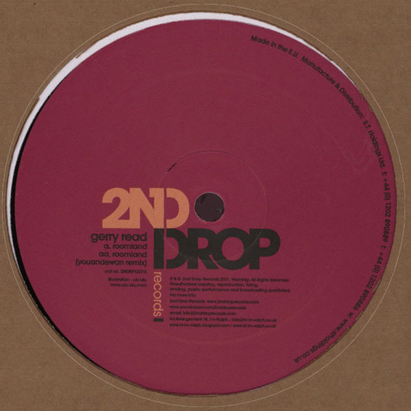 Gerry Read - Roomland - Vinyl Record 12" image 1