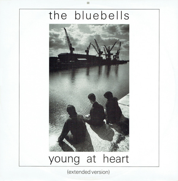 Bluebells - Young At Heart - Used Vinyl Record 12" image 1