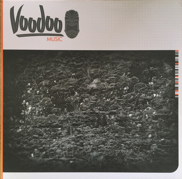 Raiden - Baptism Of Fire / Danzon - Vinyl Record 12" image 1