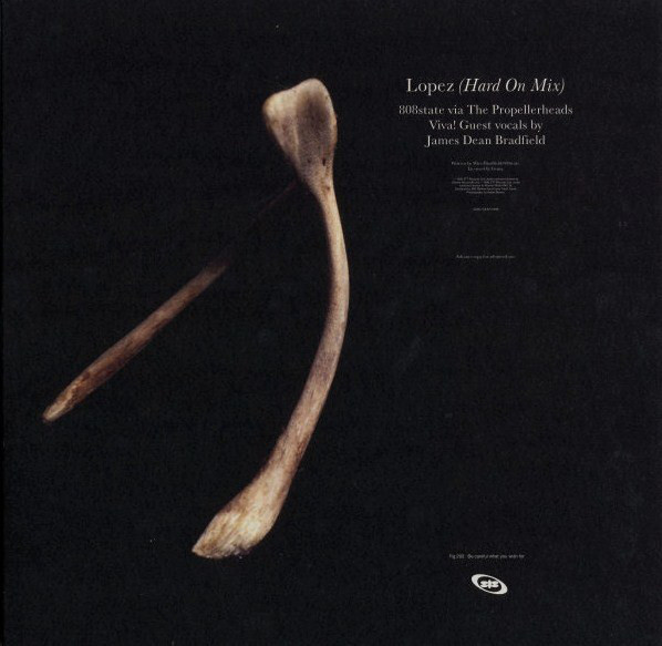 808 State - Lopez - Used Vinyl Record 12" image 1
