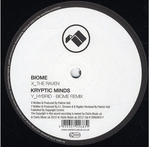 Biome - Raven / Hybrid ( Remix) - Vinyl Record 12" image 1