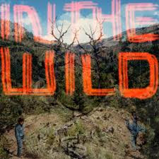 FaltyDL - In The Wild - Used CD image 1