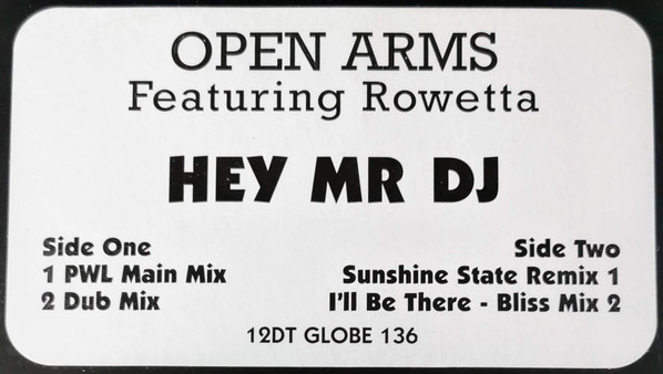 Open Arms - Hey Mr DJ - Used Vinyl Record 12" image 1