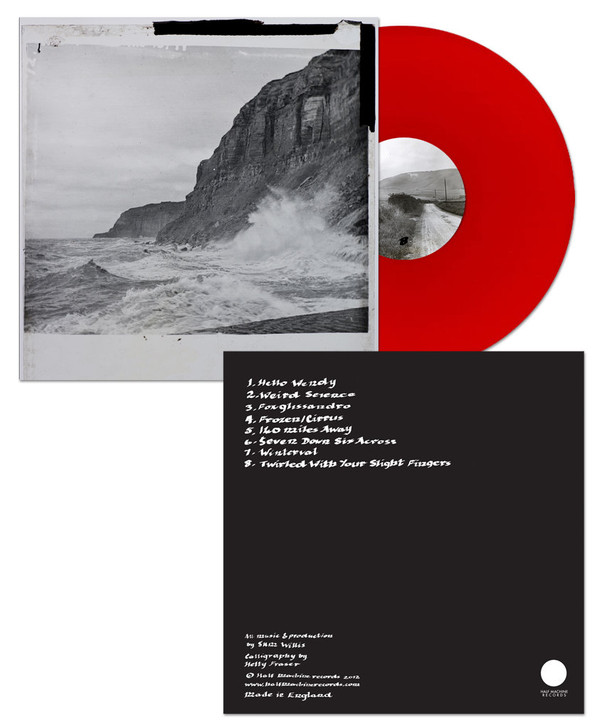 Sam Willis - Winterval - Vinyl Record image 1