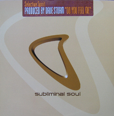 Selective Spirit - Do You Feel Me - Used Vinyl Record 12" image 1