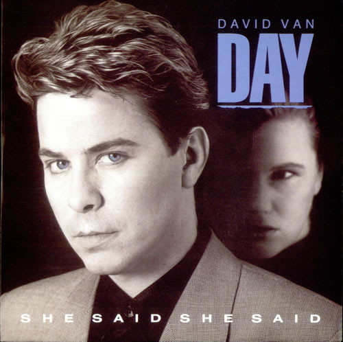 David Van Day - She Said, She Said - Used Vinyl Record 7" image 1