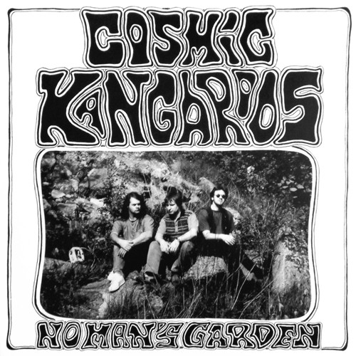 Cosmic Kangaroos - No Man's Garden - Used Vinyl Record 12" image 1