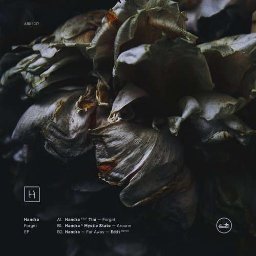 Handra - Forget EP - Vinyl Record 12" image 1