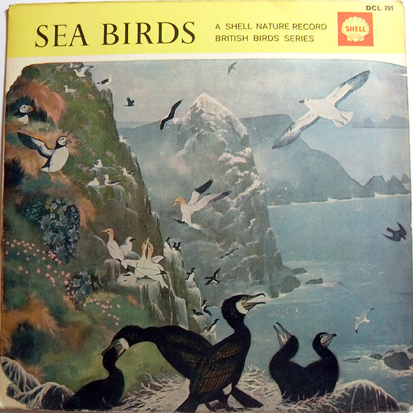 Lawrence Shove - Sea Birds - Used Vinyl Record 7" image 1