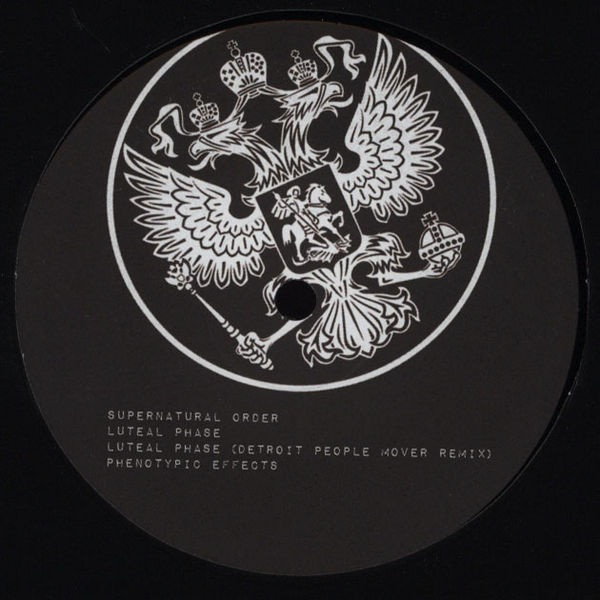 Sev Dah - Status Unknown - Vinyl Record 12" image 1