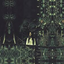 Sarah Williams White - Of The New World - Vinyl Record image 1