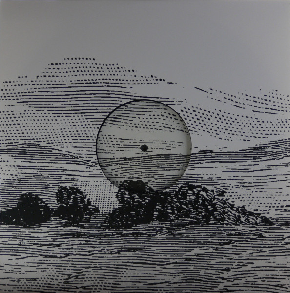 Blazej Malinowski - Dual Reality - Vinyl Record 12" image 1