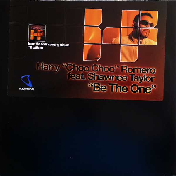 Harry "Choo Choo" Ro - Be The One - Used Vinyl Record 12" image 1