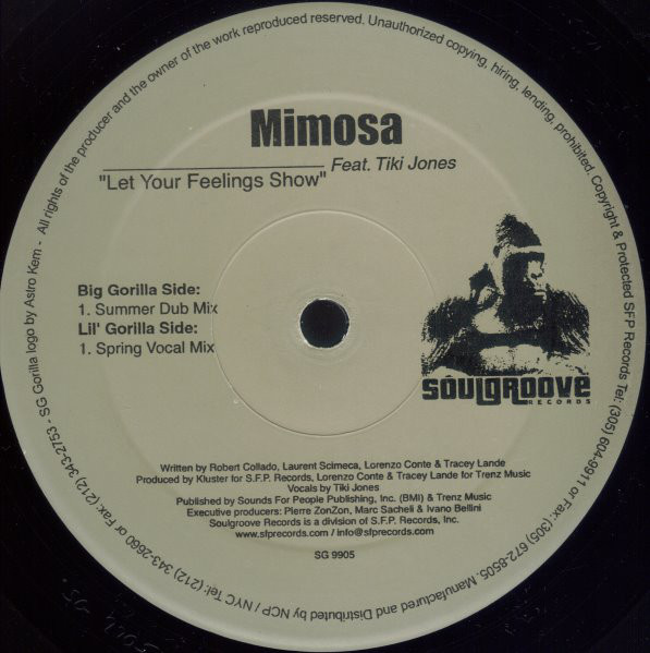 Mimosa - Let Your Feelings Show - Used Vinyl Record 12" image 1