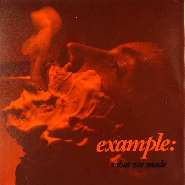 Example - What We Made - Vinyl Record Single image 1