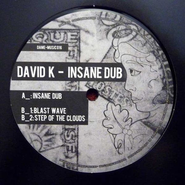 David K - Insane Dub - Vinyl Record 12" image 1
