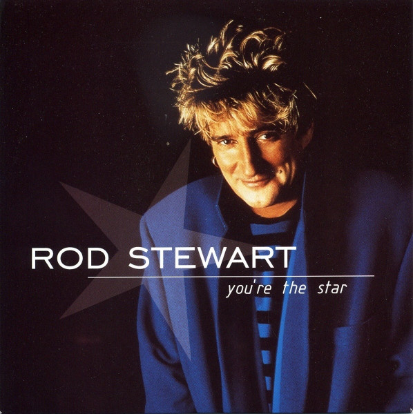 Rod Stewart - You're The Star - Used Vinyl Record 7" image 1