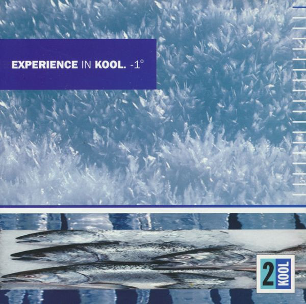 Various - Experience In Kool. -1° - Used CD image 1