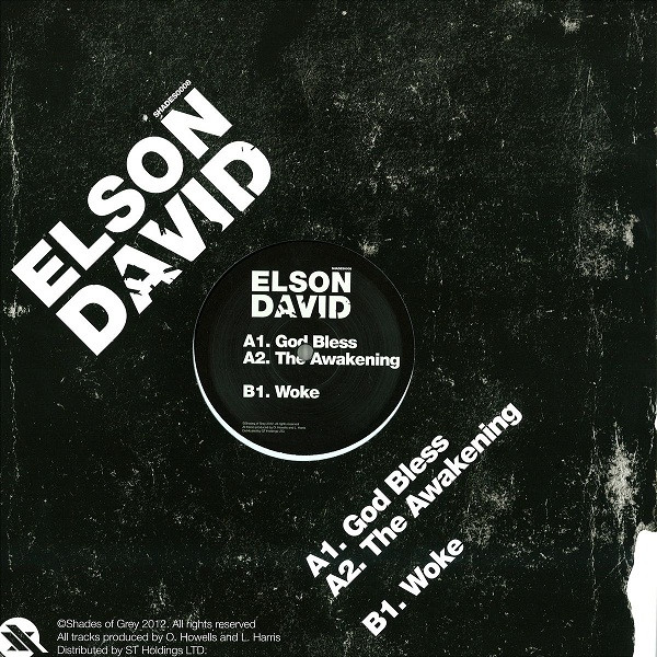 Elson David - Awakening - Vinyl Record 12" image 1