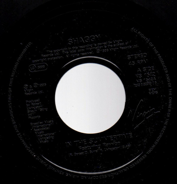 Shaggy - In The Summertime - Used Vinyl Record 7" image 1
