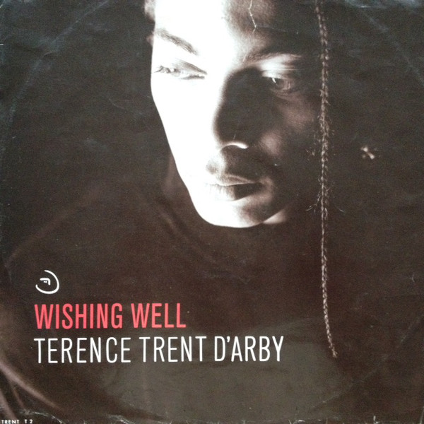 Terence Trent D'Arby - Wishing Well - Used Vinyl Record 12" image 1