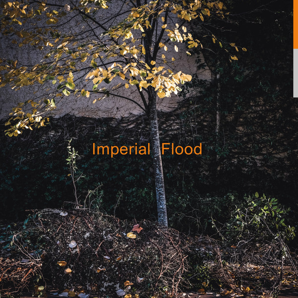 Logos - Imperial Flood - Vinyl Record image 1