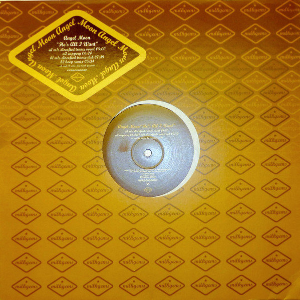 Angelmoon - He's All I Want - Used Vinyl Record 12" image 1