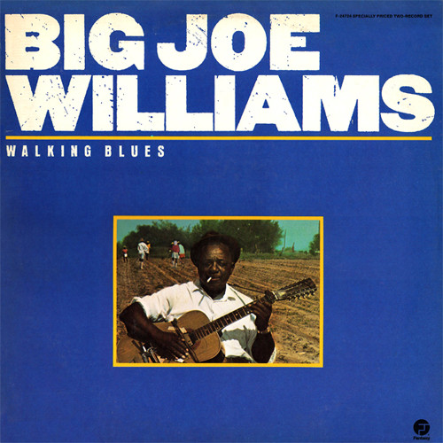 Big Joe Williams - Walking Blues - Used Vinyl Record image 1