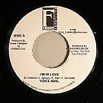 Voicemail - I'm In Love / Love Songs - Used Vinyl Record 7" image 1