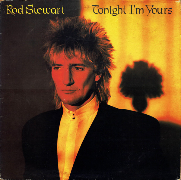 Rod Stewart - Tonight I'm Yours - Used Vinyl Record image 1
