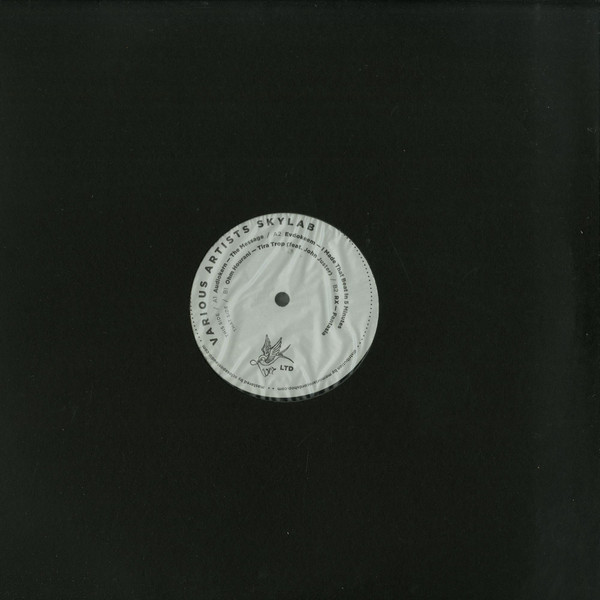 Various - Skylab - Vinyl Record 12" image 1