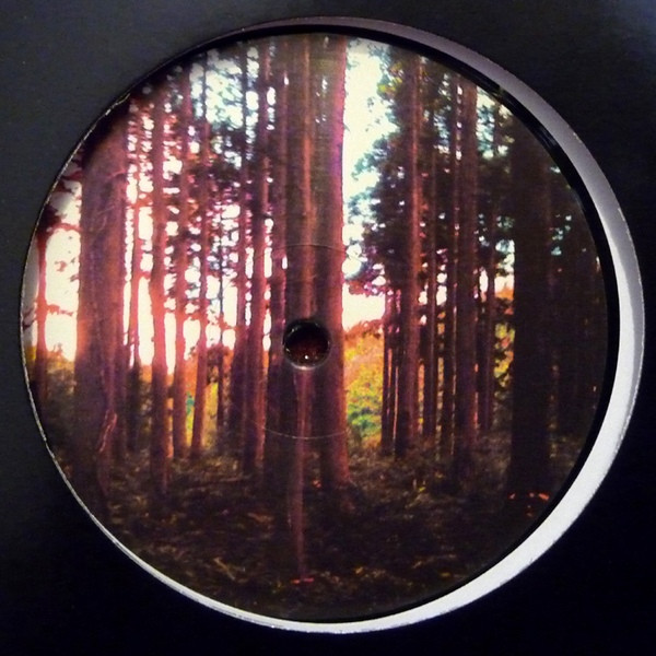 Morphosis - TEPCO Report - Vinyl Record 12" image 1