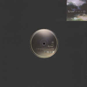 DJ Rum - Plantain / What I Was Doing When I Was Doing What I Was Doin image 1