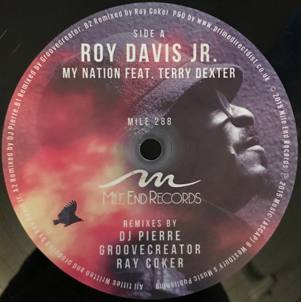 Roy Davis Jr. - My Nation - Vinyl Record 12" image 1