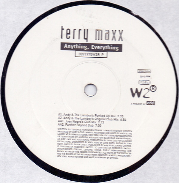 Terry Maxx - Anything, Everything - Used Vinyl Record 12" image 1