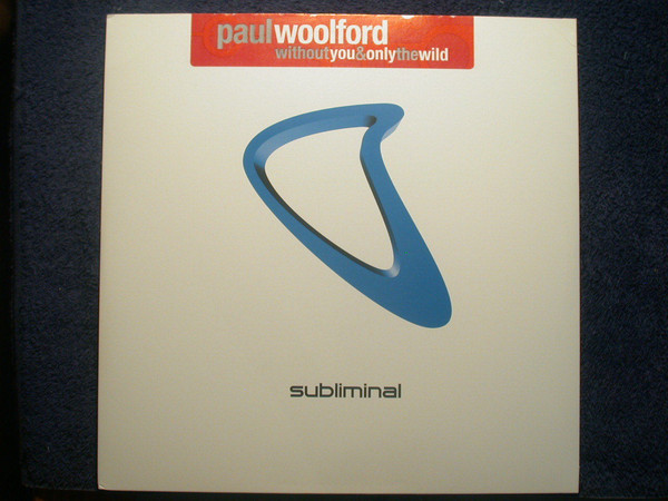 Paul Woolford - Without You & Only The Wild - Used Vinyl Record 12" image 1
