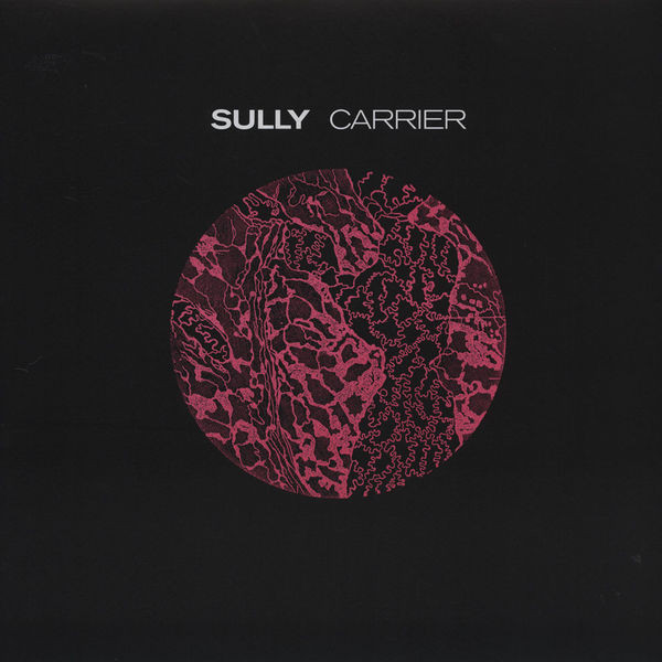 Sully - Carrier - Vinyl Record image 1