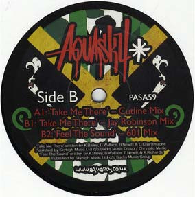 Aquasky - Take Me There (Remixes) - Vinyl Record 12" image 1