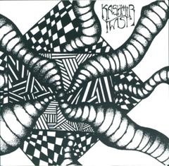 Kashmir Twist - Wild Birds Escape - Used Vinyl Record 7" image 1