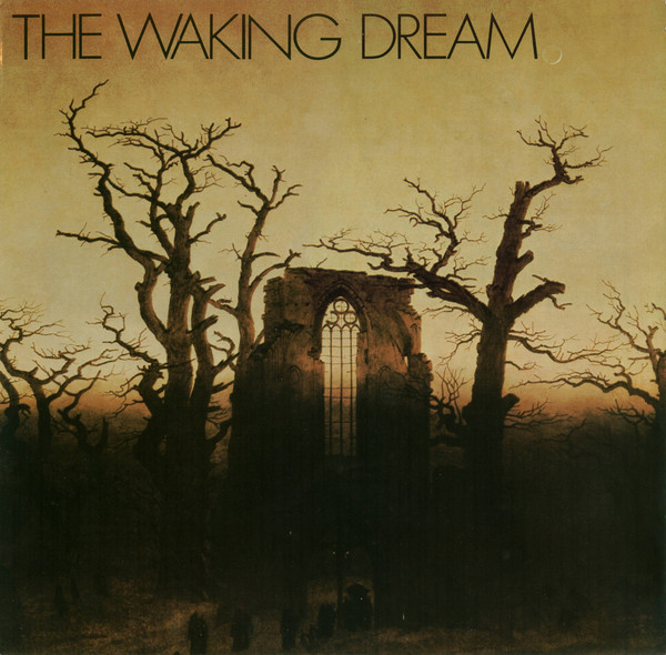 Various - Waking Dream - Used Vinyl Record image 1