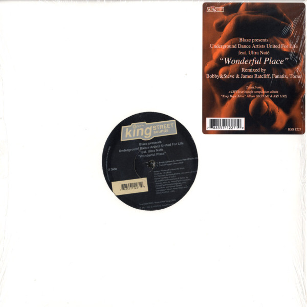 Blaze - Wonderful Place - Vinyl Record 12" image 1