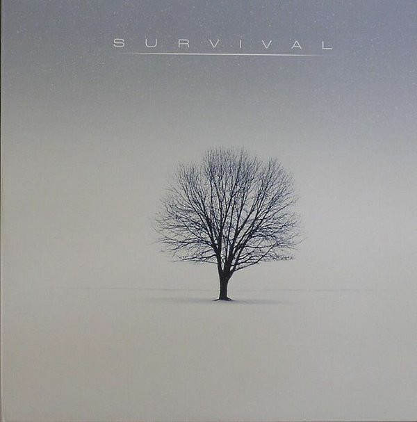 Survival - Vinyl Record 12" image 1